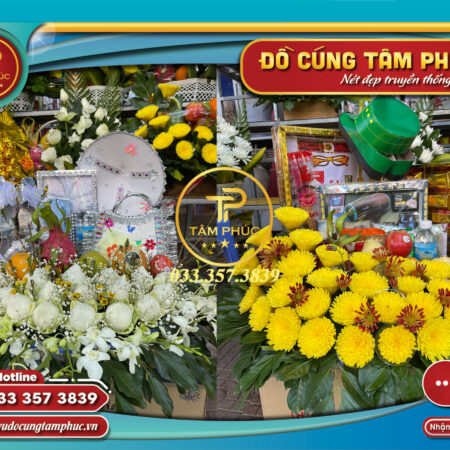 mam cung co sau chien si con dao